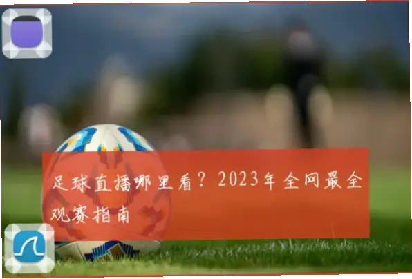 免费看球网站推荐:高清流畅观赛指南